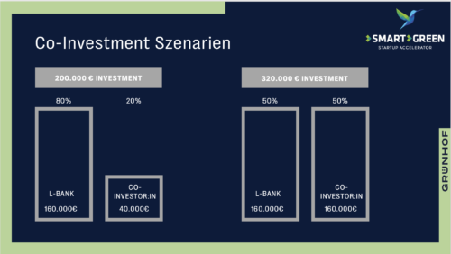 Schaubild Pre-Seed Investment Szenarien